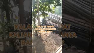 Bambu apus dan bambu ori subscribe viral fyp [upl. by Mossman]