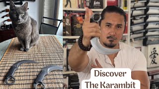 Master Karambit Fighting Methods  Filipino Kali  Indonesian Silat [upl. by Amlev]