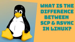 what is the difference between scp and rsync in linux  scp  rsync  ssh  RHEL  linux [upl. by Salmon777]