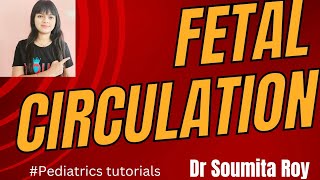 Understanding FETAL CIRCULATION fetal circulation embryology Pediatrics lecture Dr Soumita Roy [upl. by Anehta289]