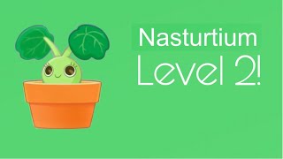 Plant nanny 2  Nasturtium level 2 [upl. by Sugna]