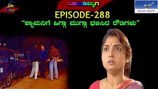 Mayamruga Episode 288 T N Seetharam  P Sheshadhri  Nagendhra Sha [upl. by Bunde]