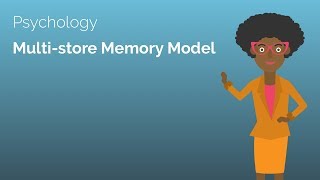 Multistore Memory Model  Alevel Psychology Revision Video  Study Rocket [upl. by Burnaby]