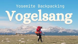 Yosemite Backpacking 3 Days  Rafferty Creek Vogelsang Lyell Canyon Loop [upl. by Duvall311]