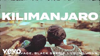 Tiwa Savage Black Sherif Young Jonn  Kilimanjaro Official Lyric Video [upl. by Akerboom]