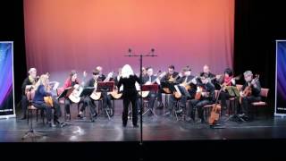 WA Classical Guitar Society Orchestra plays Alegria by Paul Svoboda [upl. by Talya928]