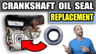 Oil Seal Replacement  Small Engine Crankshaft Seal [upl. by Brig325]