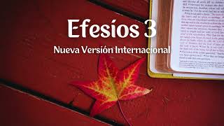 Efesios 3  Nueva Versión Internacional  Biblia en audio [upl. by Alonzo]