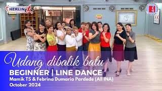 Udang Dibalik Batu  Line Dance  Herlin  Step Together  ILDI [upl. by Cordi]