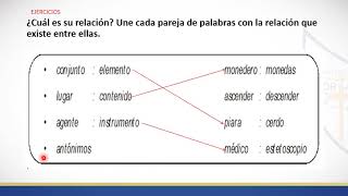 EJERCICIOS ANALOGÍAS 6º PRIM [upl. by Rexford]