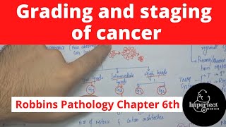 Grading and Staging of CancerRobbins Pathology chapter 6 pathology generalpathology neoplasia [upl. by Juanne]