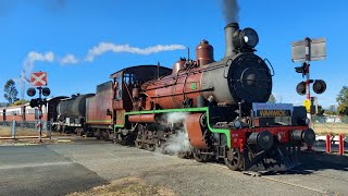 C17 971  Jumpers and Jazz Steam Train to Hendon and Wheatvale  24th and 30th July 2022 [upl. by Ronni]