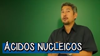 O que são Ácidos Nucleicos  Resumo para o ENEM Biologia  Descomplica [upl. by Halullat]