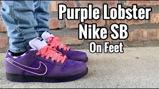 Nike SB Dunk “Purple Lobster” on Feet [upl. by Filmore]