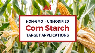 NonGMO Unmodified Corn Starch  Target Applications [upl. by Neural94]