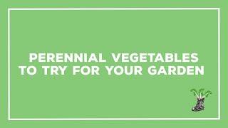 Perennial Vegetables To Try For Your Garden [upl. by Klara]