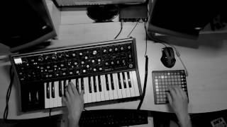 RECONDITE  LEVO Moog Sub 37 remake [upl. by Wendall]