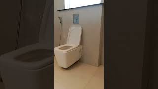 complete luxury washroom piping and fixers installation ideas [upl. by Smaoht]