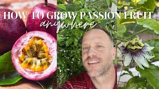 How to Grow Passionfruit Lilikoi in Cold Climates [upl. by Mayor]