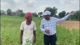 Guar  Village Mansinghpura  Terra Biocert Granules  Farmer Tikam JI [upl. by Salinas]