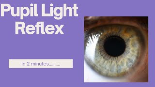 Pupil light reflex in 2 minutes [upl. by Eidnarb959]