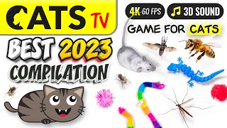 CAT TV  BEST 2023 Compilation for Cats 😻📺🦎🐭 5 HOURS 4K [upl. by Nayab]