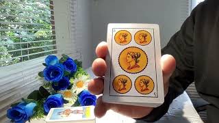 SAGITARIO 17 AL 31 DE ENERO 2024  HOROSCOPO DE HOY TAROT [upl. by Auqkinahs]