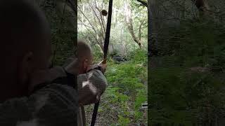 Rinehart 3d Woodland Boar Target  Keith Hodgkinson JPS Hybrid Longbow [upl. by Gilleod]