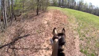 Katharine Knauz amp Poppyfields Tristan  Preliminary XC  FENCE Horse Trials 2014 [upl. by Airdnal]