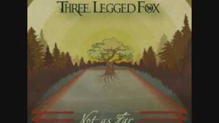 Three Legged Fox  Maybe Im Sorry  ReggaeRock Music [upl. by Lynsey]