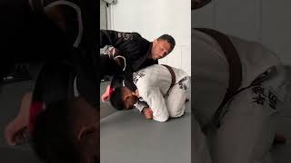 3 submissions from turtle position bjj jiujitsu brazilianjiujitsu [upl. by Hyde]