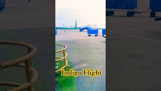 Indigo Flight ✈️✈️🛫trending airtravel viralvideos aviation [upl. by Eberhart]