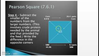 Mr Minton Balancing a Feed Ration Using the Pearson Square Method [upl. by Atirys133]