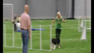 Qualification for the Swedish agility team 2010  Elvis [upl. by Aidua963]