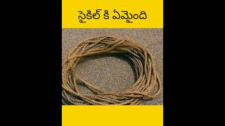 Vellu cycle tho assalu em cheystharu telugu facts amazingfacts [upl. by Ybot]