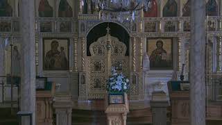 Synodal Cathedral of the Sign Live Stream [upl. by Agamemnon106]