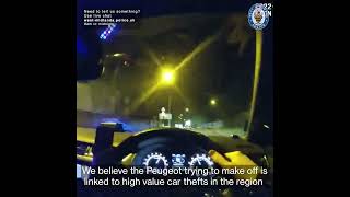 Car theft suspect gave up pursuit – he didn’t want to face our police dog [upl. by Oinotnanauj20]