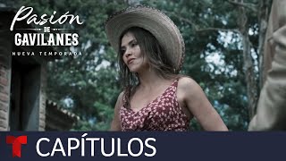 Pasión de Gavilanes Nueva Temporada  Capítulo 8  Telemundo [upl. by Meluhs]