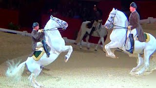 Spanish Riding School Vienna Lipizzaner Horse Performance London luna [upl. by Yralam]