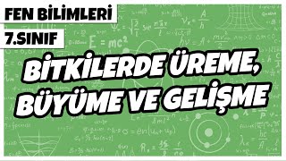 7 Sınıf Fen Bilimleri  Bitkilerde Üreme Büyüme ve Gelişme  2022 [upl. by Ymorej]