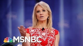 Federal Watchdog Finds White House Aide Kellyanne Conway In Violation Of Hatch Act  MSNBC [upl. by Oniuqa]