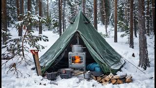 SNOW CAMPING WITH MY DOG  CAMPING LIFE IN WINTER WOODS [upl. by Appledorf]