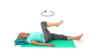 Hip Circumduction Active Exercise [upl. by Annissa]