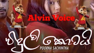 Viduli Kotai song in alvin voice [upl. by Ketchan]