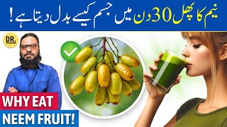 Neem Ki Nimboli Phal Ke Fayde  Neem FruitSeed Benefits  Dr Ibrahim [upl. by Ahsinal]