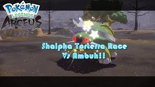 Shalpha Torterra Race vs DysartUniverse [upl. by Norvol]