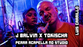 Tokischa amp J Balvin  Perra Acapella no studio link descripcion [upl. by Aerdnaxela679]