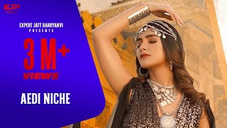 Aedi Niche Official Video  Manish Rawal  Kashish  Subtrax  New Haryanvi Songs Haryanvi 2024 [upl. by Hamachi184]