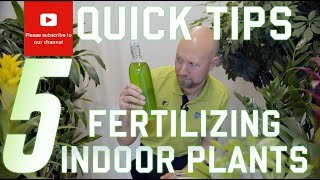 5 quick tips Fertilizing your indoor plants [upl. by Lzeil966]