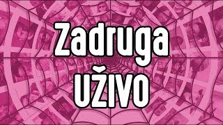 ZADRUGA UZIVO 247 LIVE [upl. by Aiyotal]